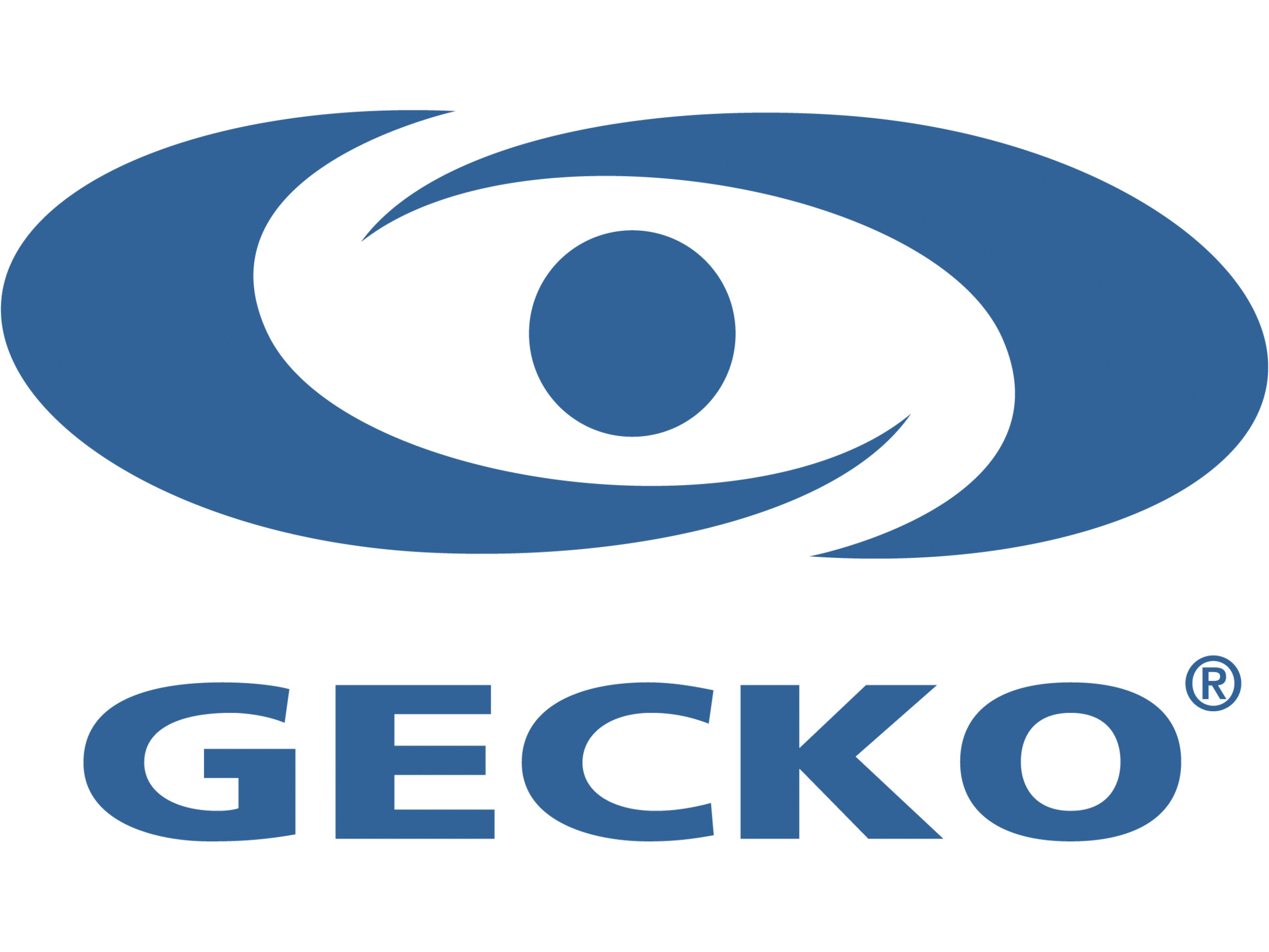 Logo_Gecko_Produit_RGB